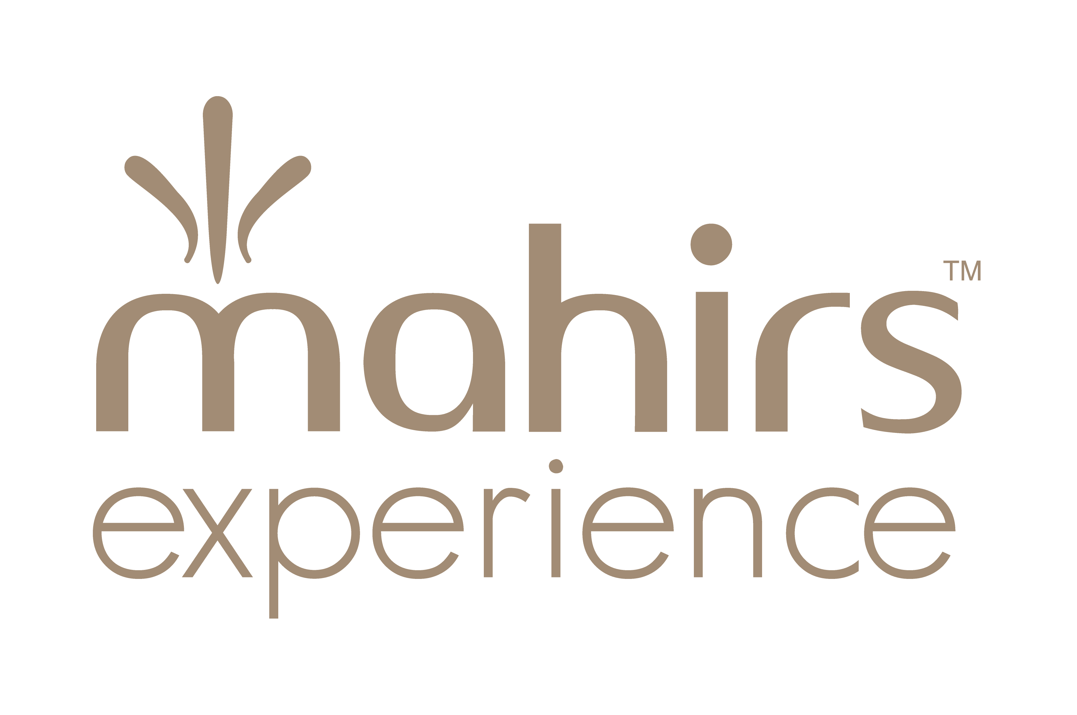 Mahirs Experience